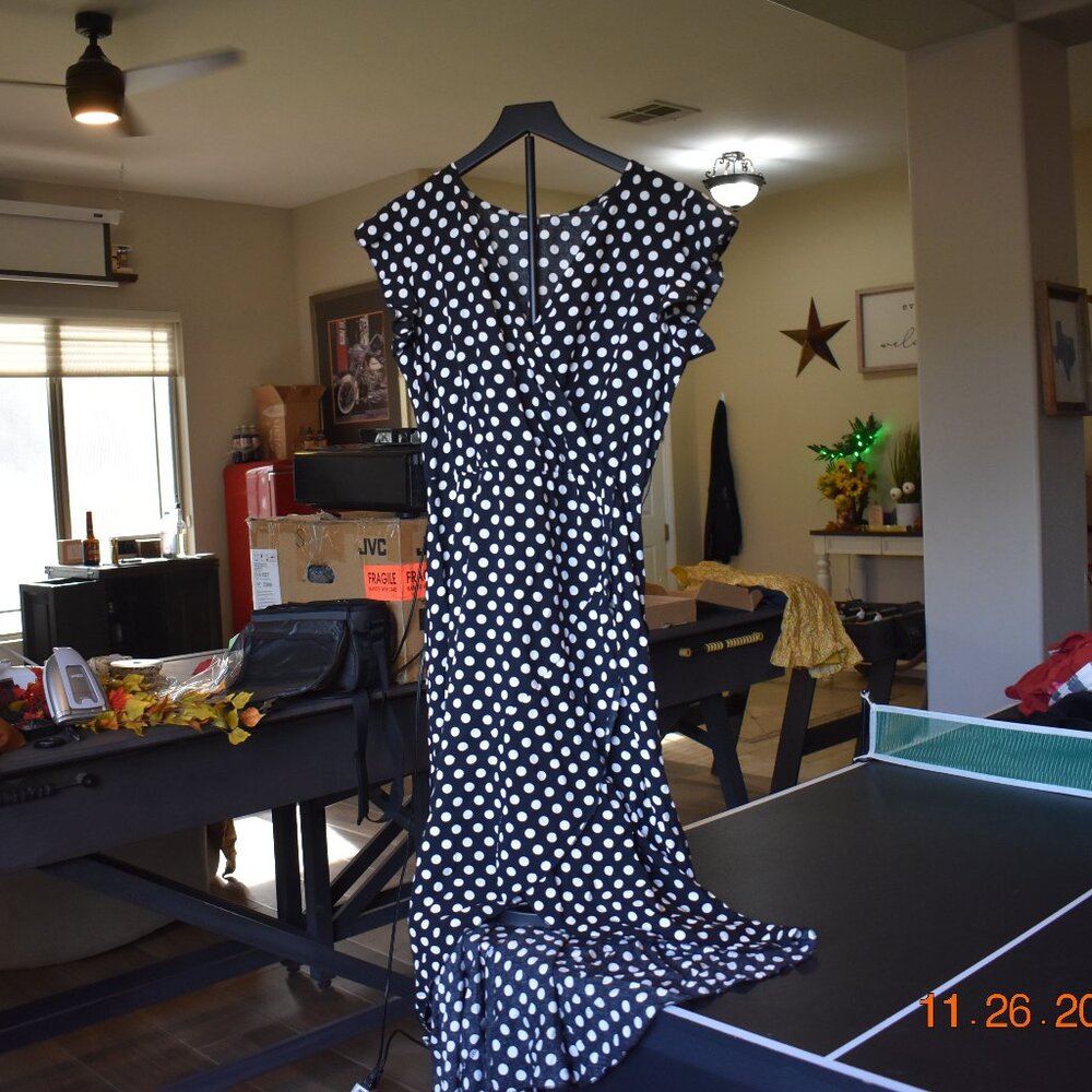 NWT Polka Dot Dress
